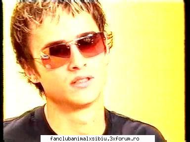 hiena &nbsp; cool