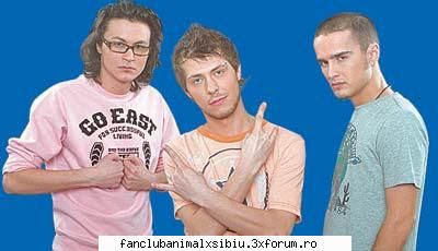 poze animal poza animal