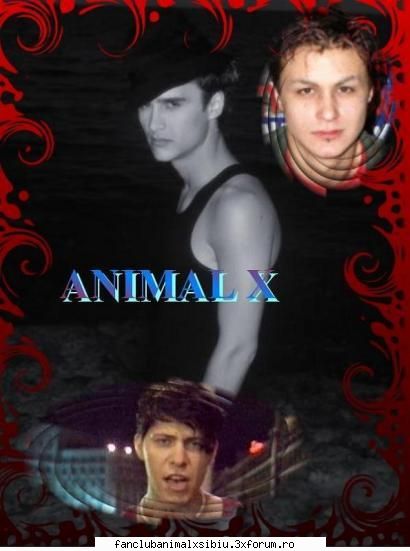 poze animal poza animal