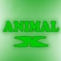 poze animal animal