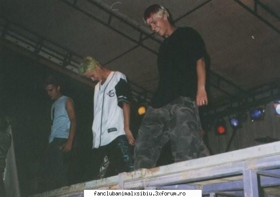 poze animal concert (cred)