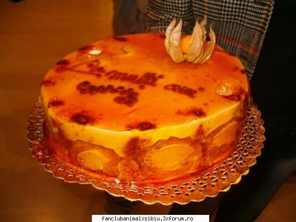 un tort da nush a qui era ziua poze cu animal x