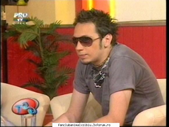 poza asta'i faina king - tzapu