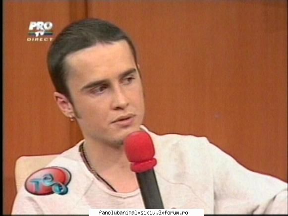 hiena serban tot teo