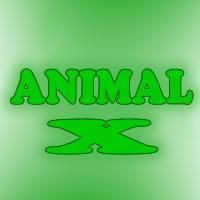 poze animal