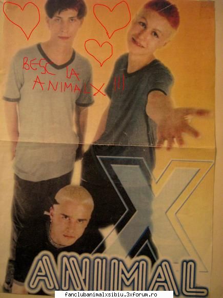 animalx hiena