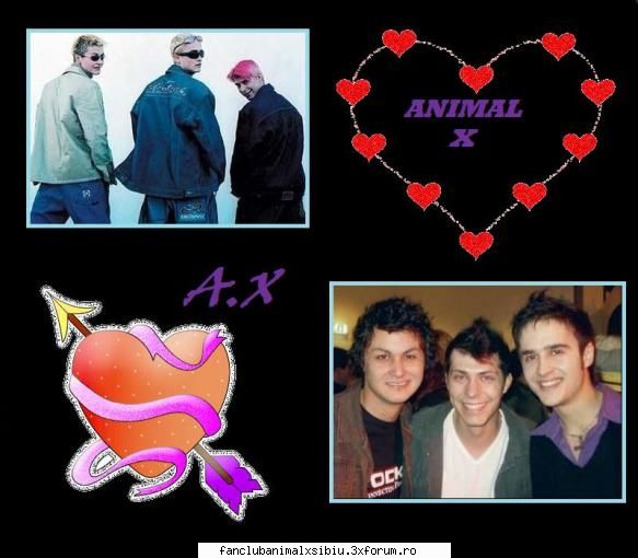 poze animal a.x