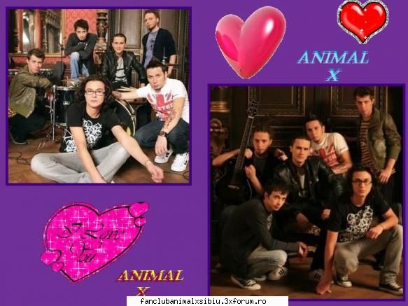 poze animal [b]animal